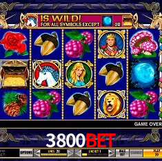 Descubra a Essência do 3800bet: Nossa História e Compromissos